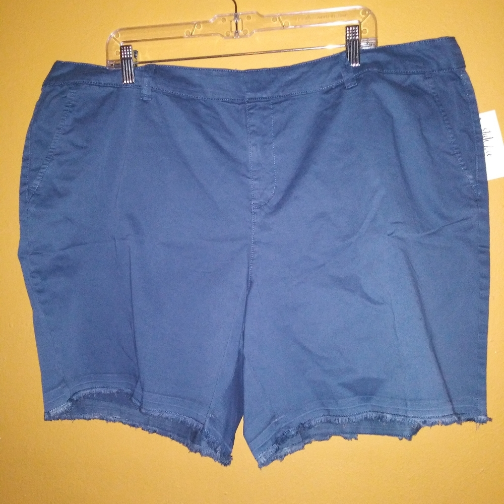 NWT Style&Co blue shorts